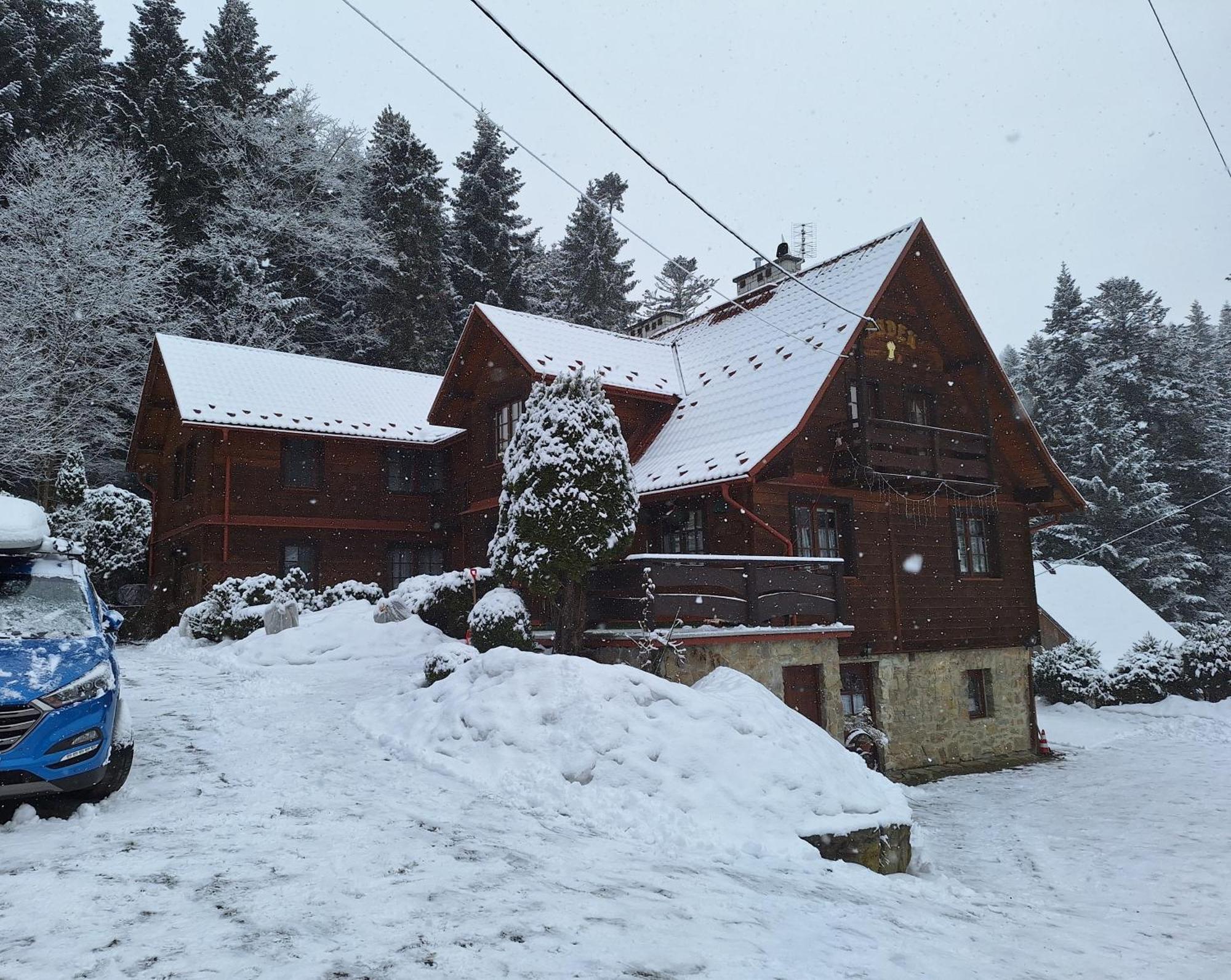 Dom Goscinny Dudek Krynica Zdroj Exterior photo