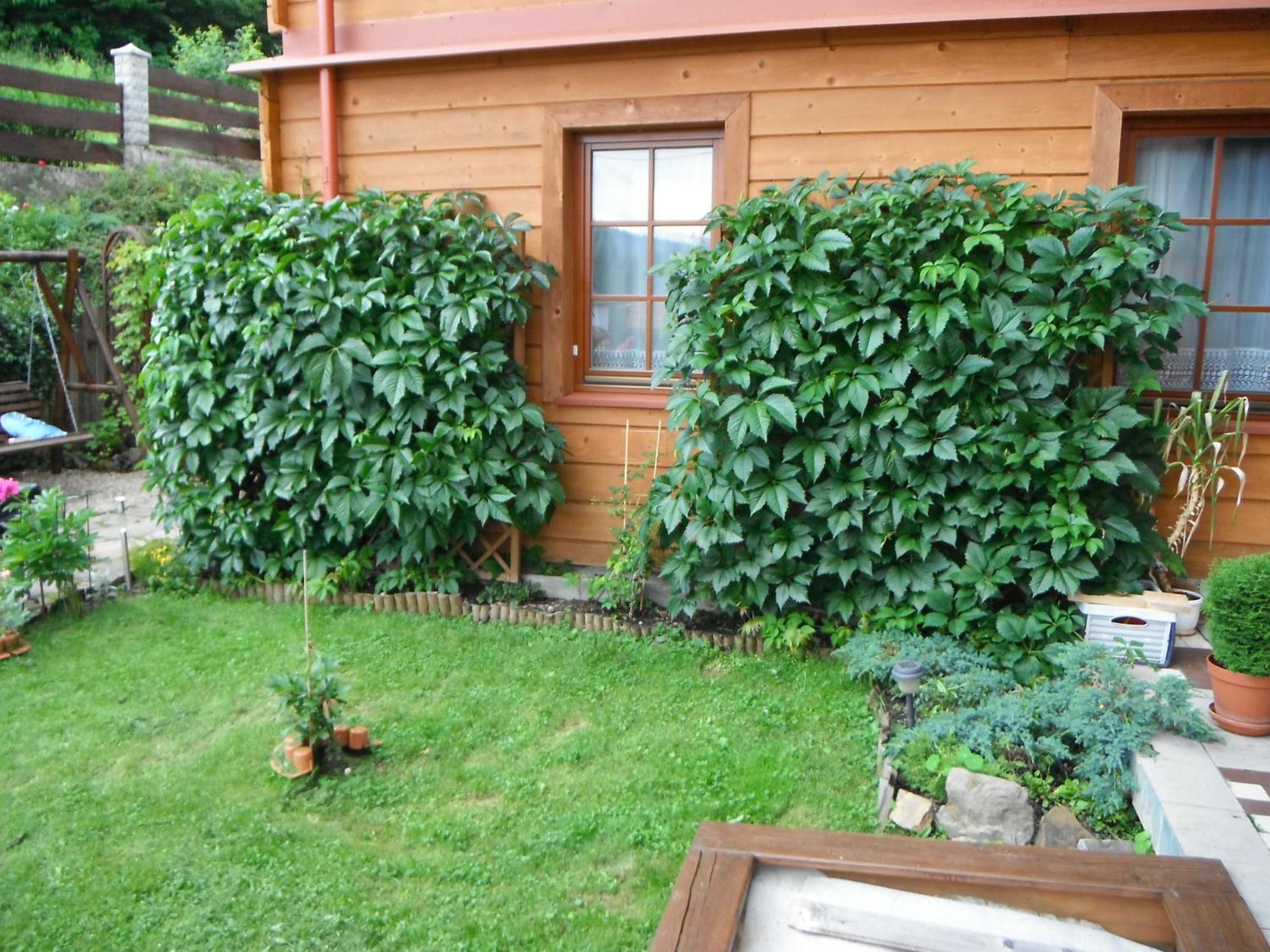 Dom Goscinny Dudek Krynica Zdroj Exterior photo